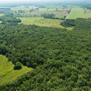 Photo #14 of SOLD property in Adkins Lane, Gretna, VA 13.0 acres