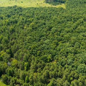 Photo #15 of SOLD property in Adkins Lane, Gretna, VA 13.0 acres