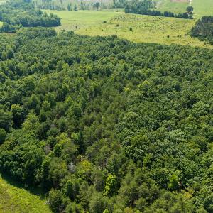 Photo #16 of SOLD property in Adkins Lane, Gretna, VA 13.0 acres