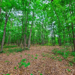 Photo #17 of SOLD property in Adkins Lane, Gretna, VA 13.0 acres