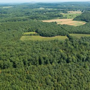 Photo #1 of SOLD property in Adkins Lane, Gretna, VA 13.0 acres