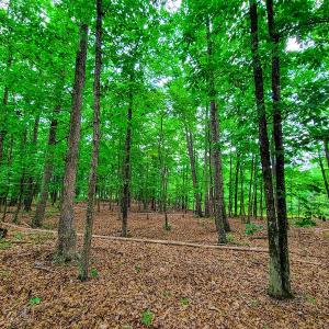 Photo #18 of SOLD property in Adkins Lane, Gretna, VA 13.0 acres