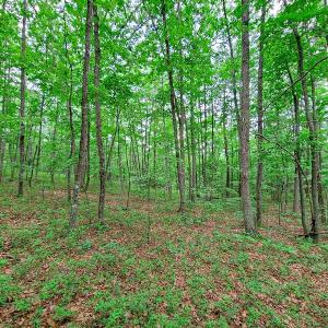 Photo #21 of SOLD property in Adkins Lane, Gretna, VA 13.0 acres