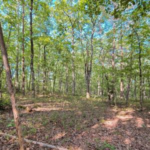 Photo #24 of SOLD property in Adkins Lane, Gretna, VA 13.0 acres