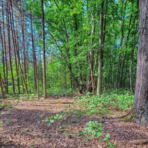Photo #27 of SOLD property in Adkins Lane, Gretna, VA 13.0 acres