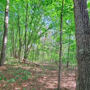 Photo #30 of SOLD property in Adkins Lane, Gretna, VA 13.0 acres