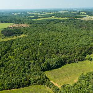 Photo #3 of SOLD property in Adkins Lane, Gretna, VA 13.0 acres