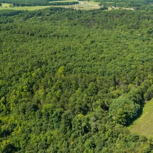 Photo #4 of SOLD property in Adkins Lane, Gretna, VA 13.0 acres