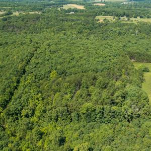 Photo #5 of SOLD property in Adkins Lane, Gretna, VA 13.0 acres