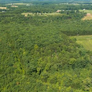 Photo #6 of SOLD property in Adkins Lane, Gretna, VA 13.0 acres