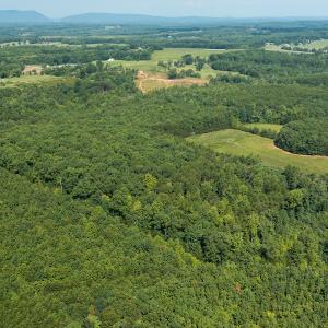 Photo #7 of SOLD property in Adkins Lane, Gretna, VA 13.0 acres