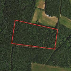 Photo #32 of SOLD property in Adkins Lane, Gretna, VA 13.0 acres