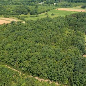 Photo #9 of SOLD property in Adkins Lane, Gretna, VA 13.7 acres