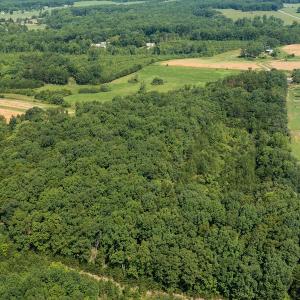 Photo #10 of SOLD property in Adkins Lane, Gretna, VA 13.7 acres
