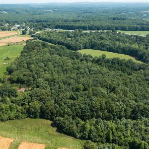 Photo #11 of SOLD property in Adkins Lane, Gretna, VA 13.7 acres