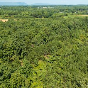 Photo #14 of SOLD property in Adkins Lane, Gretna, VA 13.7 acres
