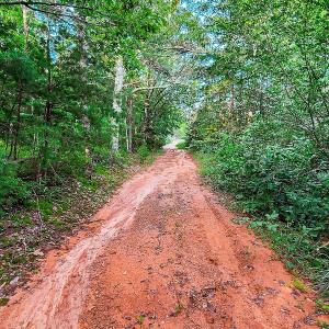 Photo #15 of SOLD property in Adkins Lane, Gretna, VA 13.7 acres