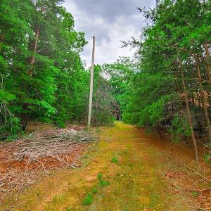 Photo #16 of SOLD property in Adkins Lane, Gretna, VA 13.7 acres