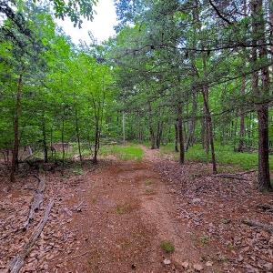 Photo #17 of SOLD property in Adkins Lane, Gretna, VA 13.7 acres