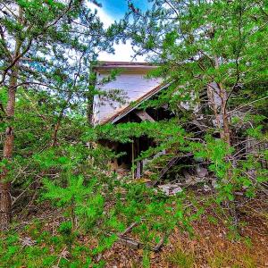 Photo #18 of SOLD property in Adkins Lane, Gretna, VA 13.7 acres