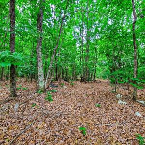 Photo #19 of SOLD property in Adkins Lane, Gretna, VA 13.7 acres