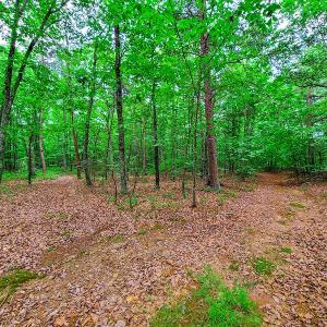 Photo #22 of SOLD property in Adkins Lane, Gretna, VA 13.7 acres