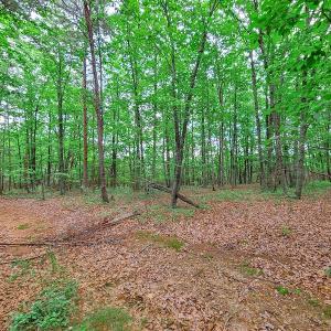 Photo #23 of SOLD property in Adkins Lane, Gretna, VA 13.7 acres