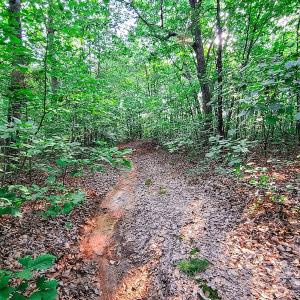 Photo #27 of SOLD property in Adkins Lane, Gretna, VA 13.7 acres