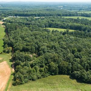 Photo #2 of SOLD property in Adkins Lane, Gretna, VA 13.7 acres