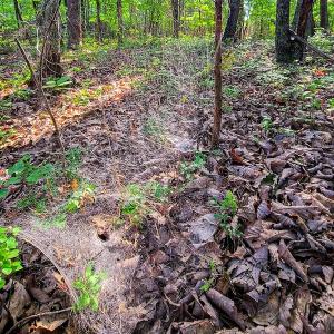 Photo #29 of SOLD property in Adkins Lane, Gretna, VA 13.7 acres