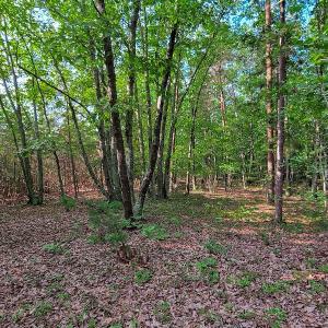 Photo #31 of SOLD property in Adkins Lane, Gretna, VA 13.7 acres