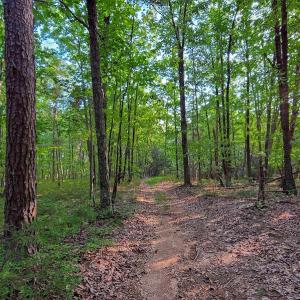 Photo #32 of SOLD property in Adkins Lane, Gretna, VA 13.7 acres