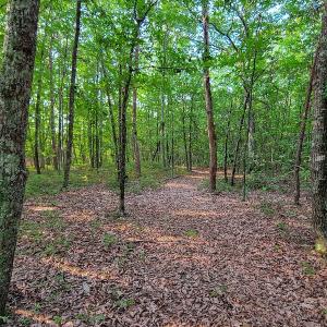 Photo #33 of SOLD property in Adkins Lane, Gretna, VA 13.7 acres