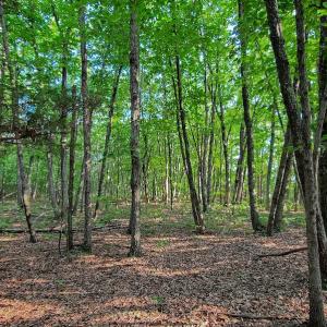 Photo #36 of SOLD property in Adkins Lane, Gretna, VA 13.7 acres