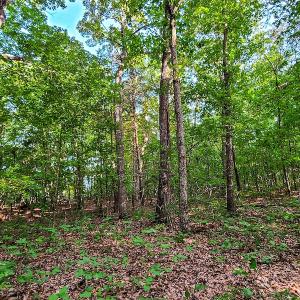 Photo #38 of SOLD property in Adkins Lane, Gretna, VA 13.7 acres