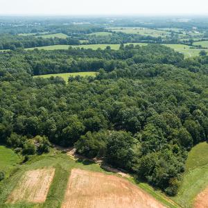 Photo #3 of SOLD property in Adkins Lane, Gretna, VA 13.7 acres