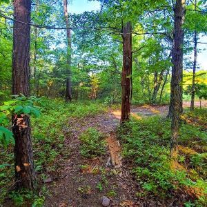 Photo #42 of SOLD property in Adkins Lane, Gretna, VA 13.7 acres