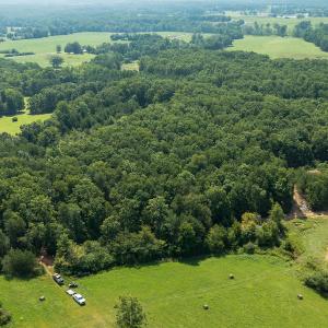 Photo #4 of SOLD property in Adkins Lane, Gretna, VA 13.7 acres
