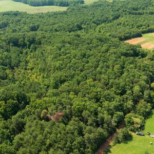 Photo #5 of SOLD property in Adkins Lane, Gretna, VA 13.7 acres