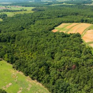 Photo #6 of SOLD property in Adkins Lane, Gretna, VA 13.7 acres