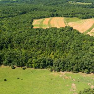 Photo #7 of SOLD property in Adkins Lane, Gretna, VA 13.7 acres