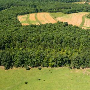 Photo #8 of SOLD property in Adkins Lane, Gretna, VA 13.7 acres