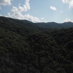 Photo #8 of SOLD property in Off Nebo Mountain Road, Ceres, VA 86.3 acres
