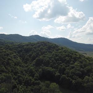 Photo #9 of SOLD property in Off Nebo Mountain Road, Ceres, VA 86.3 acres