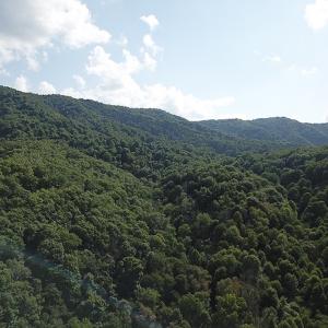 Photo #10 of SOLD property in Off Nebo Mountain Road, Ceres, VA 86.3 acres