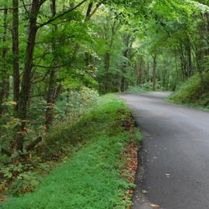 Photo #23 of SOLD property in Off Nebo Mountain Road, Ceres, VA 86.3 acres