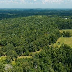 Photo #11 of Mrs White Lane, Mebane, NC 131.7 acres