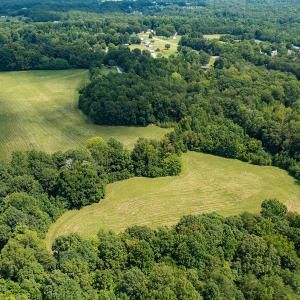Photo #13 of Mrs White Lane, Mebane, NC 131.7 acres