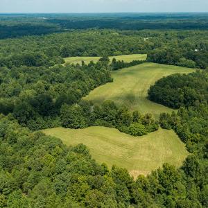 Photo #14 of Mrs White Lane, Mebane, NC 131.7 acres