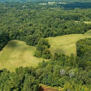 Photo #15 of Mrs White Lane, Mebane, NC 131.7 acres
